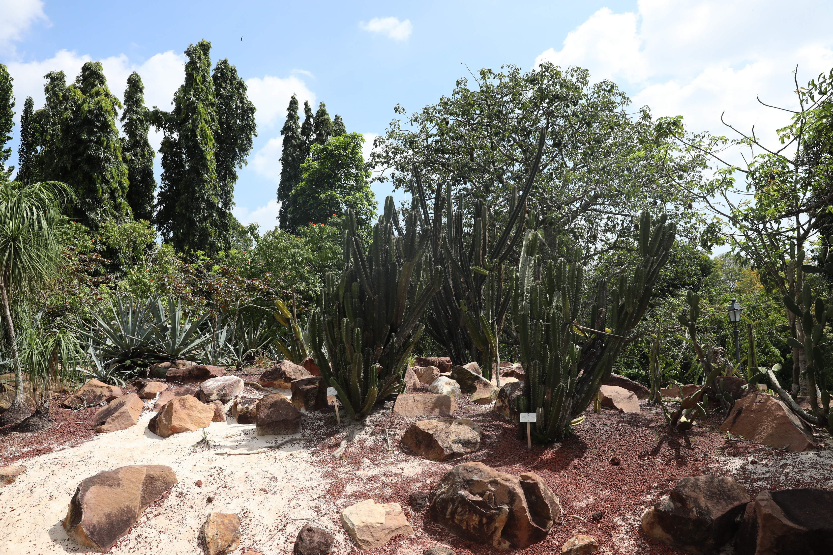 2020 02 03 14 59 59 Canon EOS 5D Mark IV 0028